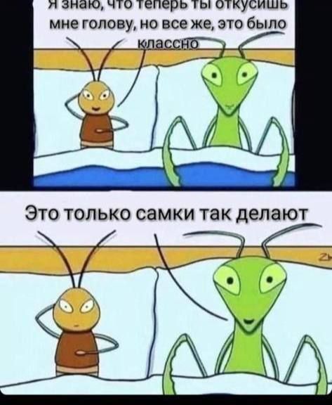 Я знаю ЧТО ТЕПЕРЬ ТЫ ОТКУСИШЬ МНЕ ГОЛОВУ НО все Же ЭТО было