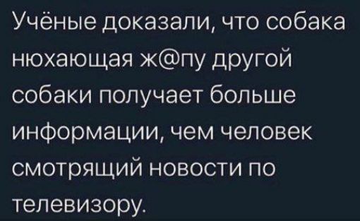 Учёные доказали что собака нюхающая кпу другой собаки получает больше информации чем человек смотрящий новости по телевизору