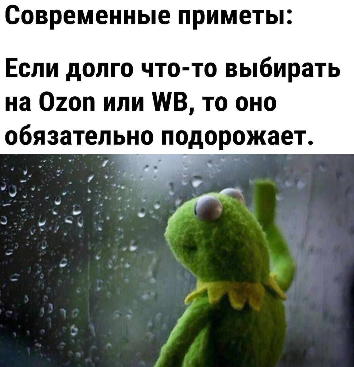 Современные приметы Если долго что то выбирать на 02оп или В то оно обязательно подорожает