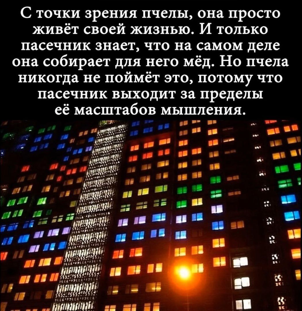 С точки зрения пчелы она просто живёт своей жизнью И только Пасечник знает что на самом деле она собирает для него мёд Но пчела никогда не поймёт это потому что пасечник выходит за пределы её масштабов мышления ннм