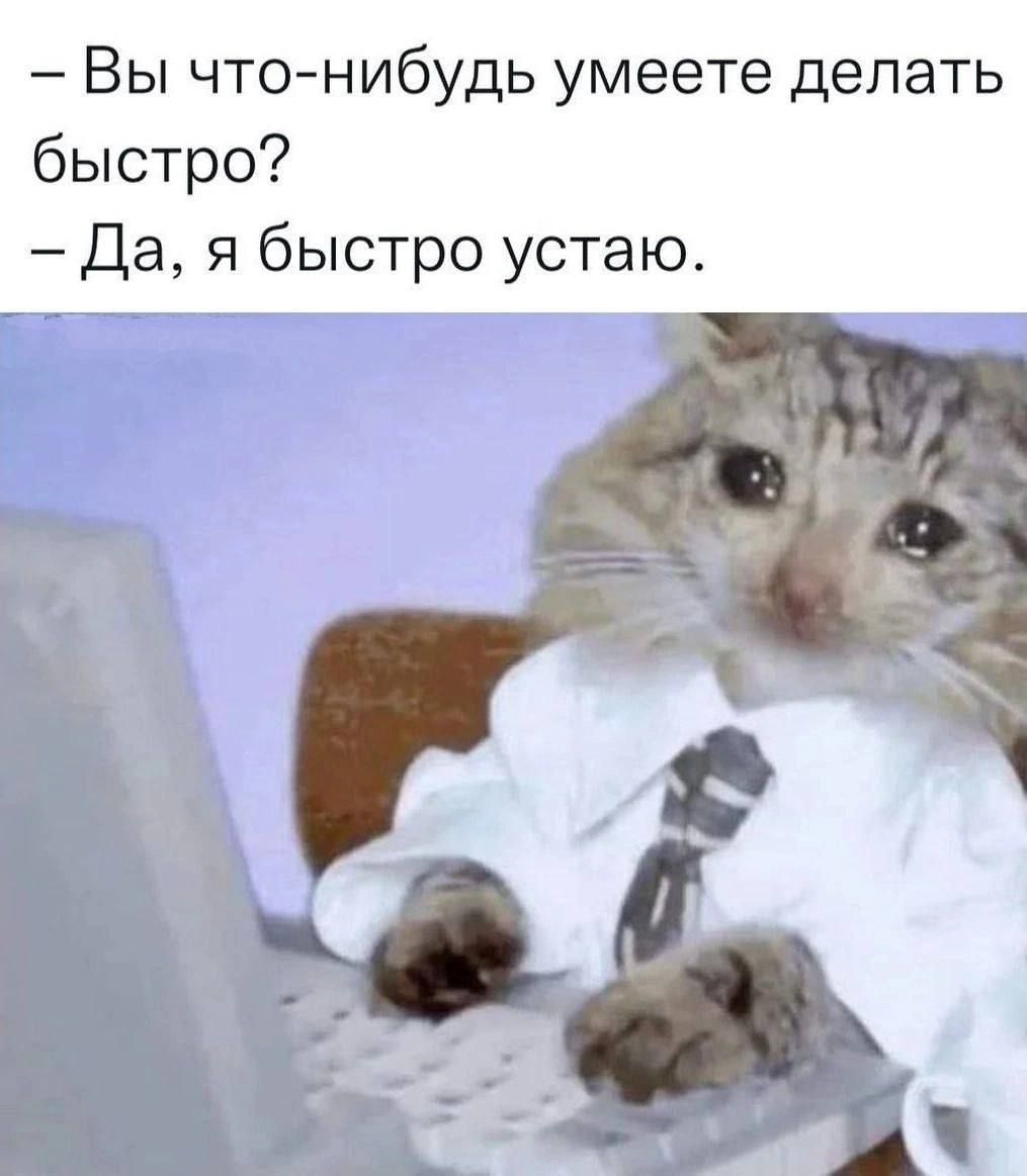 Вы что нибудь умеете делать быстро Да я быстро устаю