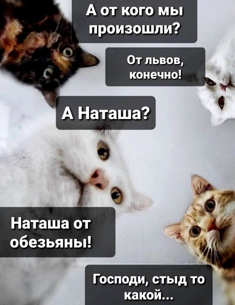 А от кого мы произошли Наташа от _ обезьяны _ __ КаКОИ _