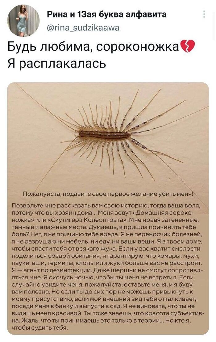 Рина и ізая буква алфавита ппа_эшхіюаша БУДЬ любима СОРОКОНОЖКЭ Я расплакалась Поюпуйпв пишите свое первоежепвиие убить меня ни Вассиана вам свои итивпоща паша почему чт вы хпзяиндоиа Меня зовут пдомашияя сороко ножка Схушгера капотом миновал звшивииыа темные и швжнью иена думаешь пришла причииип в на я не пвичинююбе введя я непереносчик болвзией я нвпнзрушвш наш и ним и ваши ищи и шеи дамп чтбы с