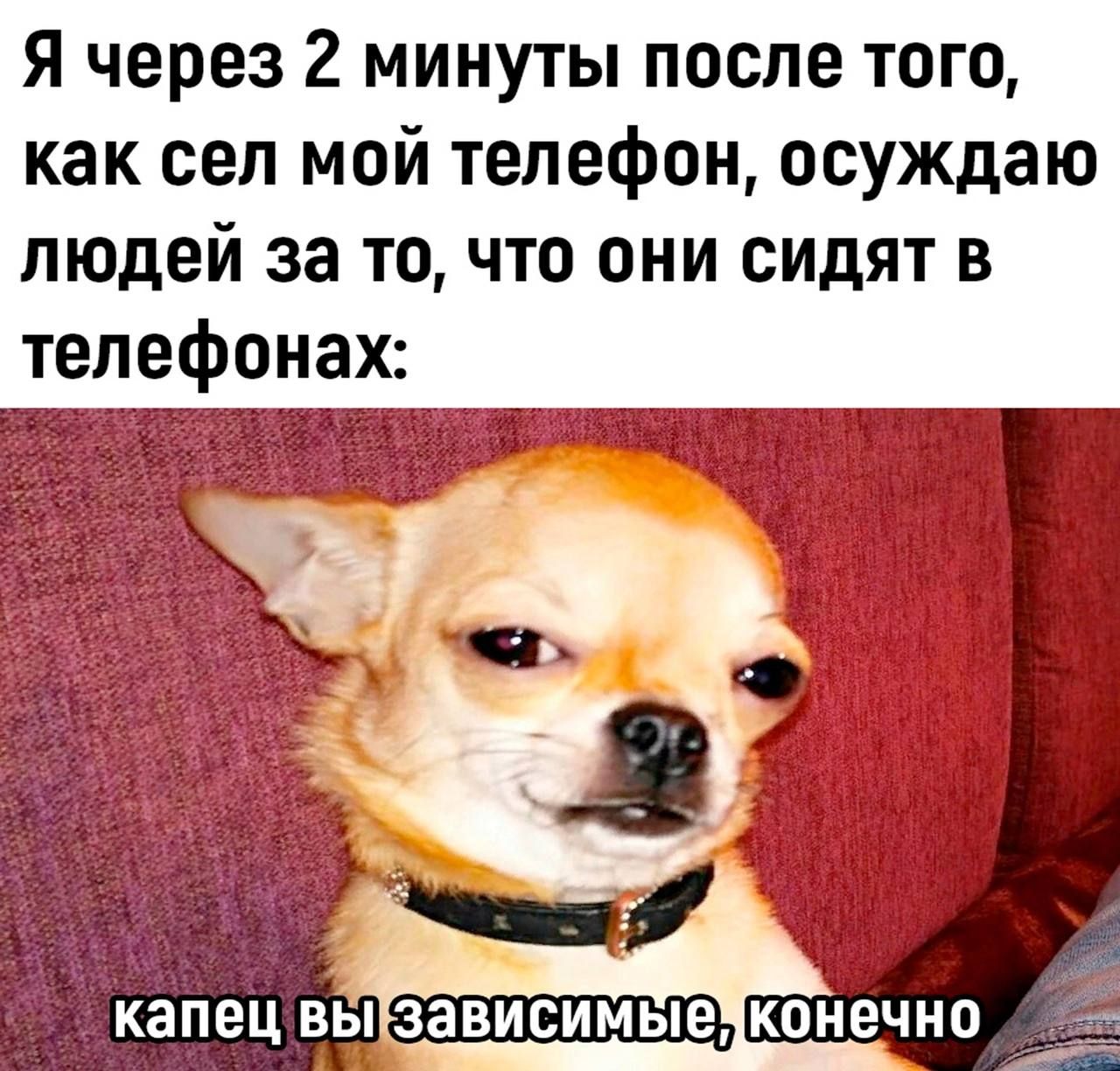 я через 2 минуты после того как сеп мой телефон осуждаю людей за то что они сидят в телефонах капец выізависимыекоиечио