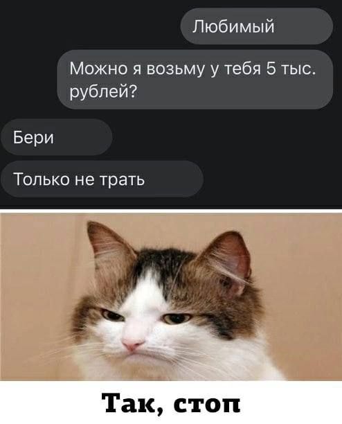 Любимый Можно возьму у тебя 5 тыс рублей Бери Только не трать Так стоп
