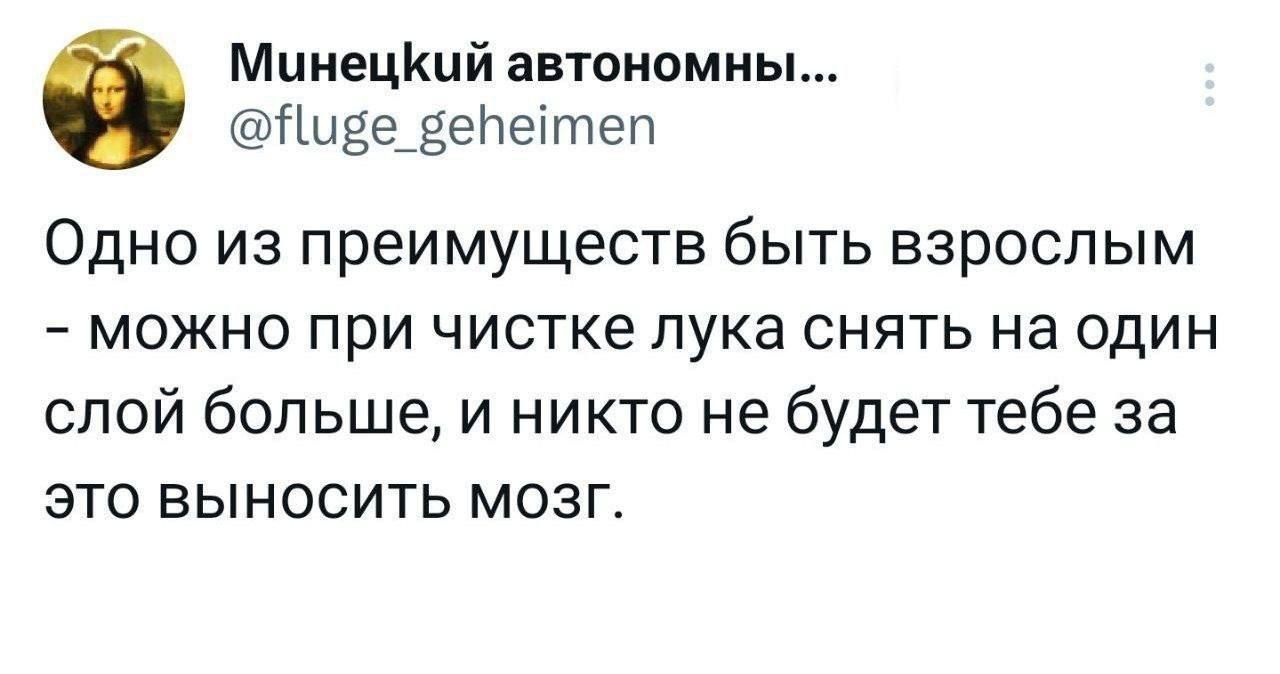 МииецКий автоиомиь Нидедедеітеп Одно из преимуществ быть взрослым можно при чистке лука снять на один слой больше и никто не будет тебе за это выносить мозг