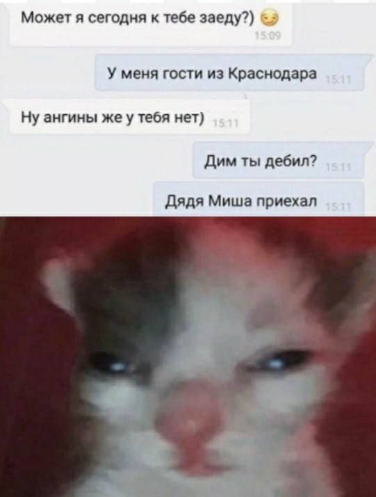 Может я сегодня к 1969 заеду У меня гости из Краснодара Ну ангины же у тебя нет дим дебил дядя Миша приехал