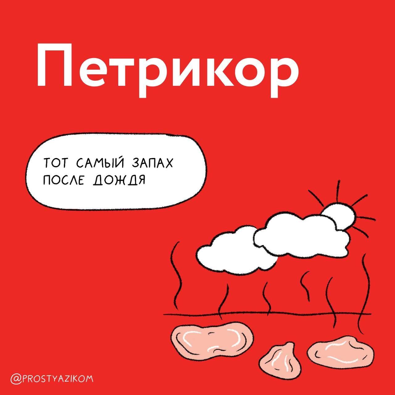 Петрикор