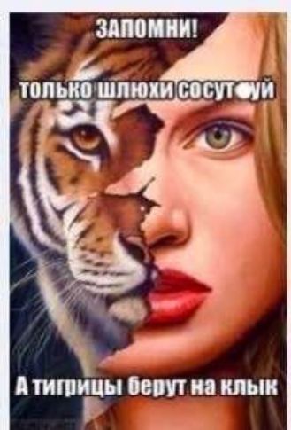 ТИПИЦЦ клык
