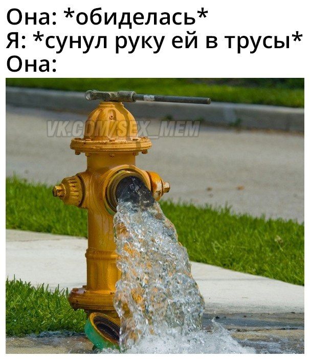 Она обиделась Я сунул руку ей в трусы Она