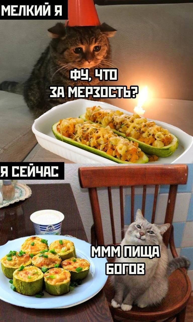 МЕЛКИЙ Я ФЧ ЧТП ЗА МЕРЗПШЁ