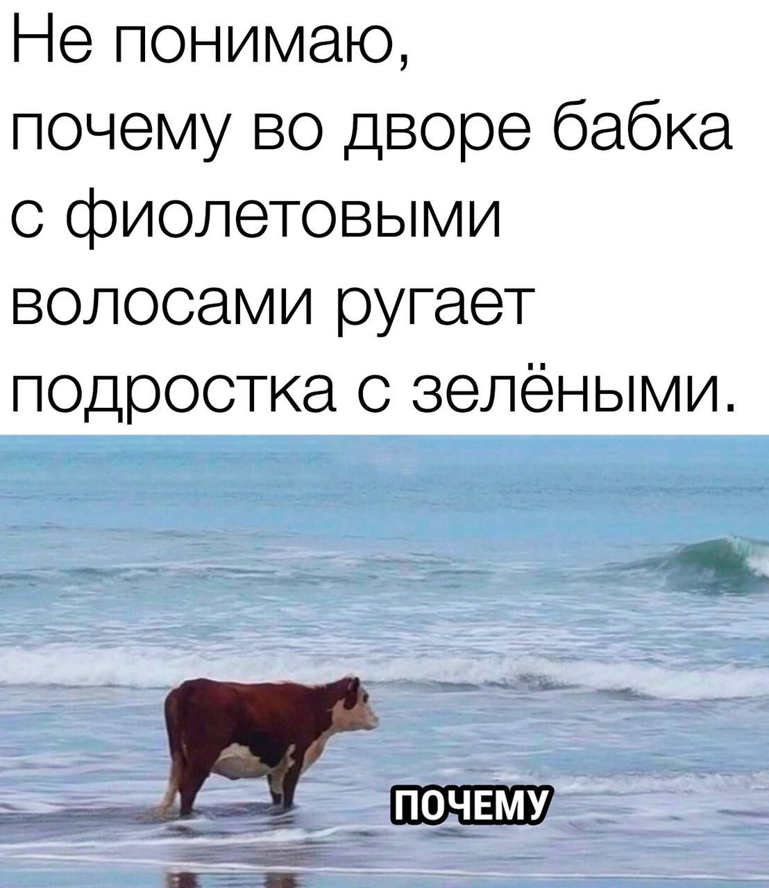 Не понимаю почему во дворе бабка фиолетовыми волосами ругает подростка с зелёными ч д