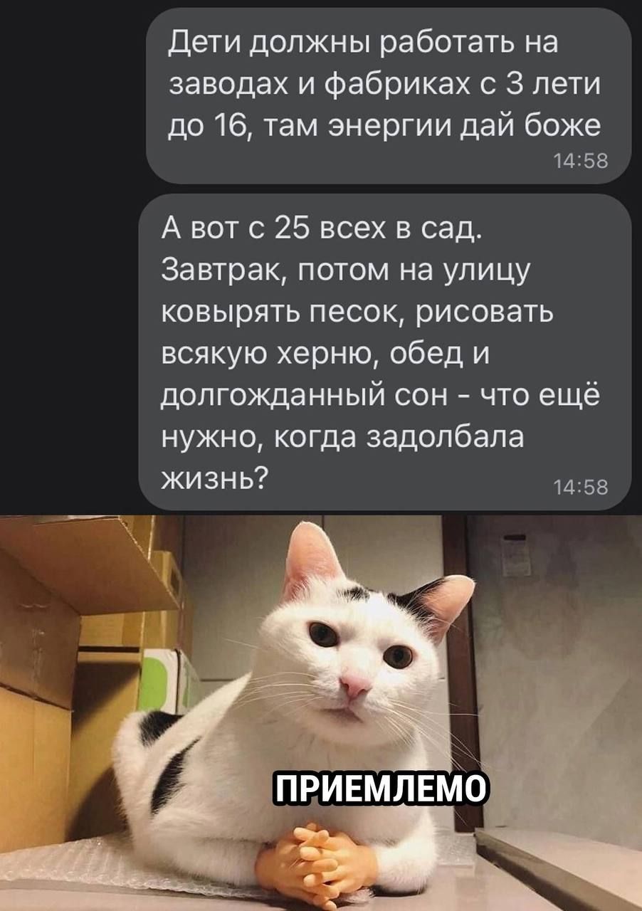 дети должны работать на заводах и фабриках 3 лети до 16 там энергии дай боже 1458 А вот с 25 всех в сад Завтрак потом на улицу ковырять песок рисовать всякую херню обед и долгожданный сон что ещё нужно когда задолбала жизнь 1453