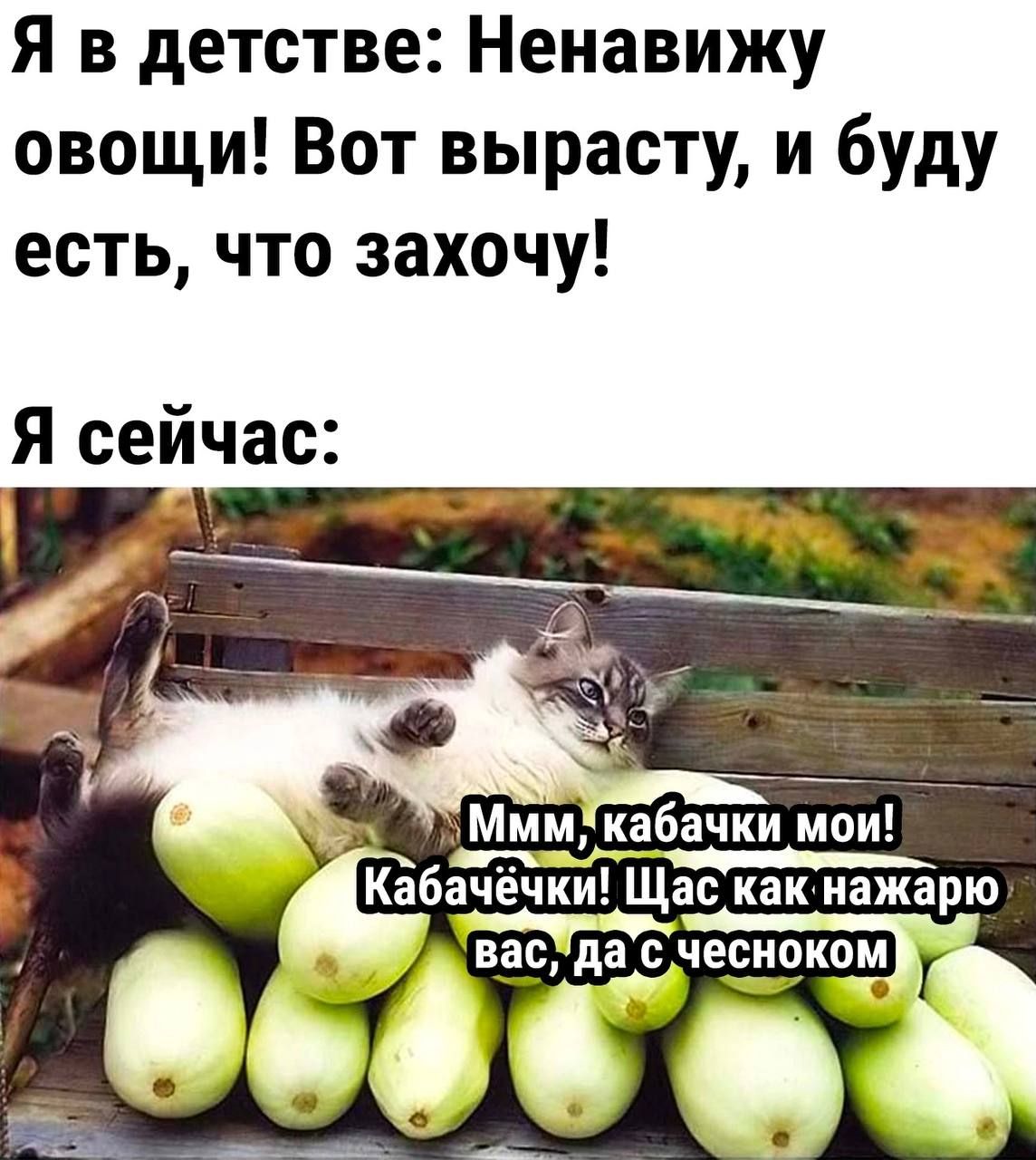 Я в детстве Ненавижу овощи Вот вырасту и буду есть что захочу я сейчас как Кабачечки Щас как нажарю васда с чесноком Г