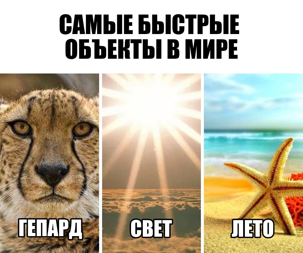 САМЫЕ БЬЮПЫЕ ВБЪЕШЫ В МИРЕ