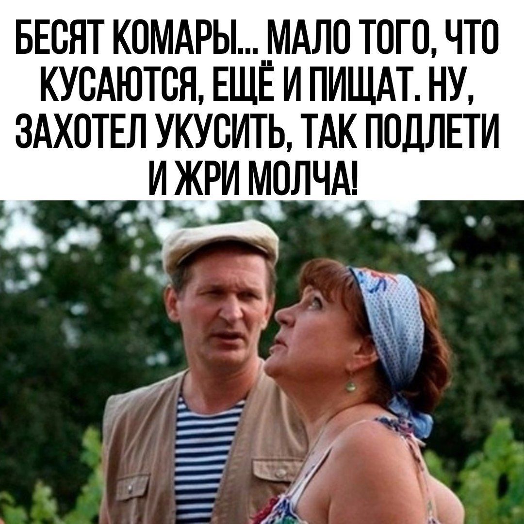 БЕВНТ КОМАРЫ МАЛО ТОГО ЧТО КУСАЮТСН ЕЩЁ И ПИЩАТ НУ ЗАХОТЕЛ УКУСИТЬ ТАК ПОДЛЕТИ И ЖРИ МПЛЧА