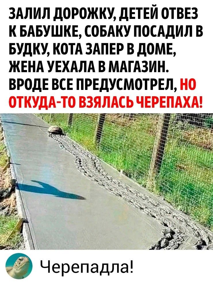 ЗАЛИЛ дОРОЖКУ дЕТЕЙ ОТВЕЗ К БАБУШКЕ СОБАКУ ПОСАДИЛ В БУДКУ КОТА ЗАПЕР В дОМЕ ЖЕНА УЕХАЛА В МАГАЗИН ВРОДЕ ВСЕ ПРЕДУСМОТРЕЛ НО ОТКУДА ТО ВЗЯЛАСЬ ЧЕРЕПАХА Черепадпа