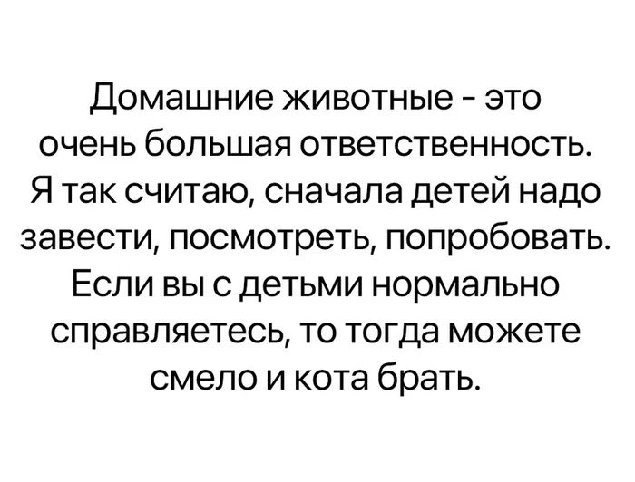 Домашние животные это очень большая ответственность Я так считаю сначала детей надо завести посмотреть попробовать Если вы с детьми нормально справляетесь то тогда можете смело и кота брать