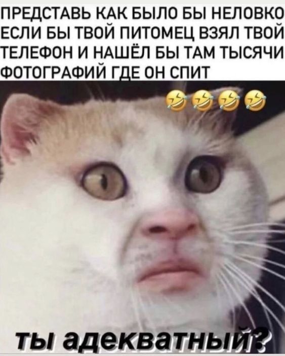 ПРЕДСТАВЬ КАК БЫЛО БЫ НЕЛОВКО ЕСЛИ БЫ ТВОЙ ПИТОМЕЦ ВЗЯЛ ТВОЙ ТЕЛЕФОН И НАШЁЛ БЫ ТАМ ТЫСЯЧИ ФОТОГРАФИЙ Г Е ОН СПИТ ты адекватн