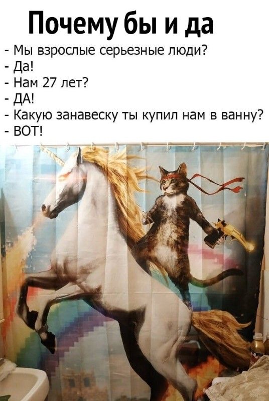 Почему бы и да Мы взрослые серьезные люди да Нам 27 лет ДА Какую занавеску ты купил нам в ванну ВОТ