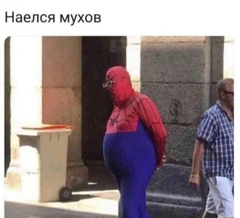 Наепся мухов