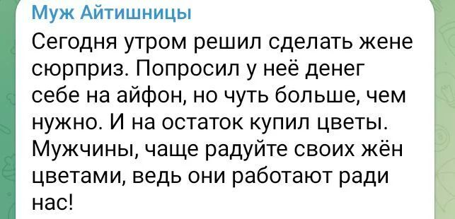 Муж Айтишиицы Сегодня утром решил сделать жене сюрприз Попросил у неё денег себе на айфон но чуть больше чем нужно И на остаток купил цветы Мужчины чаще радуйте своих жён цветами ведь они работают ради нас