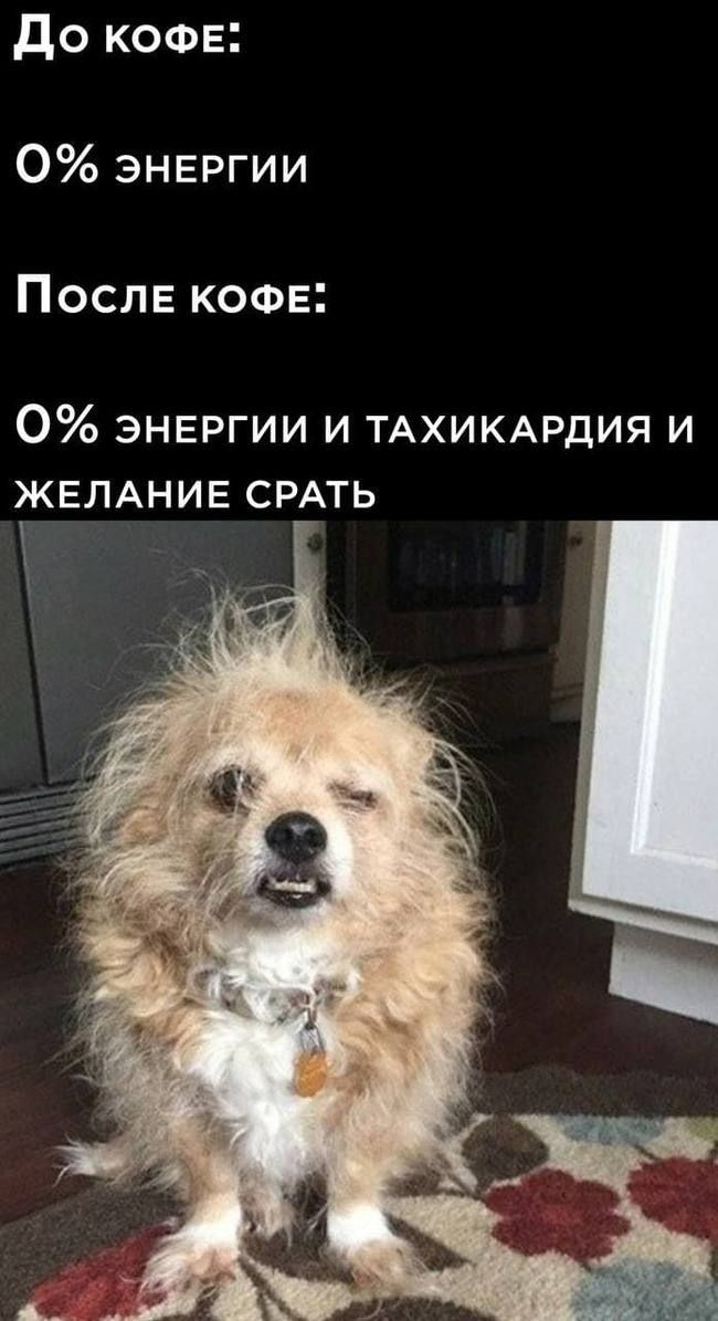 до кофе 0 энергии После кофе 0 энергии и ТАХИКАРДИЯ и ЖЕЛАНИЕ СРАТЬ