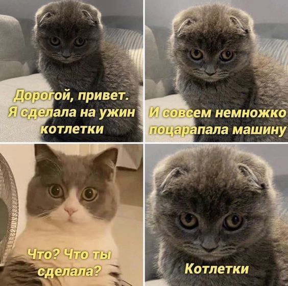 апа на ужин отпетки Котлетки