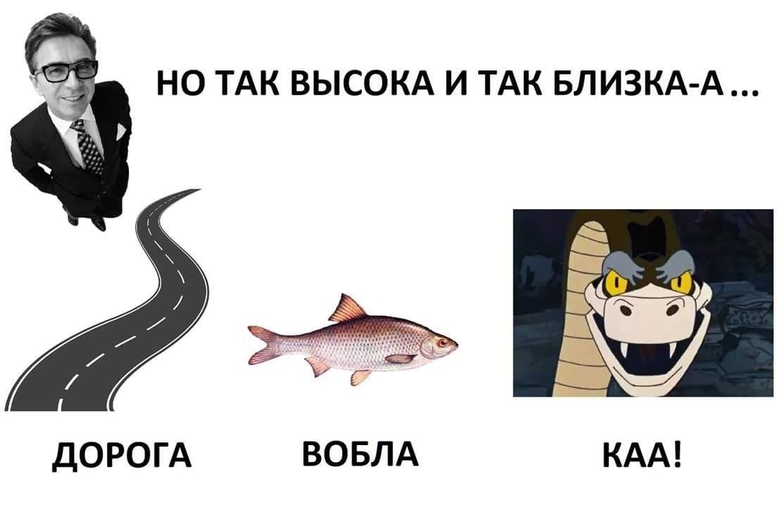 НО ТАК ВЫСОКА И ТАК БЛИЗКА А дОРОГА ВОБЛА