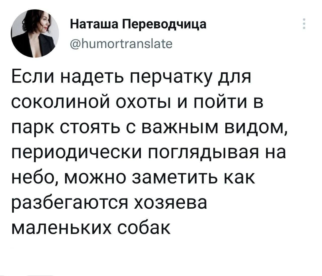 Наташа Переводчица Пипшпгапыые Если надеть перчатку для соколиной охоты и пойти в парк стоять с важным видом периодически поглядывая на небо можно заметить как разбегаются хозяева маленьких собак