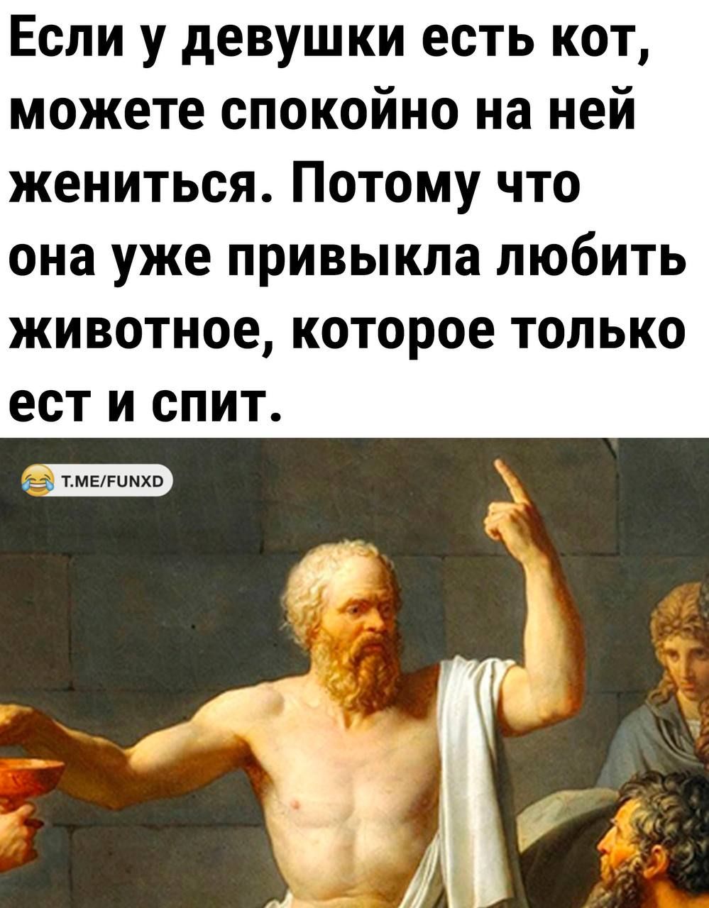 Если у девушки есть кот можете спокойно на ней жениться Потому что она уже привыкла любить животное которое только БСТ И СПИТ