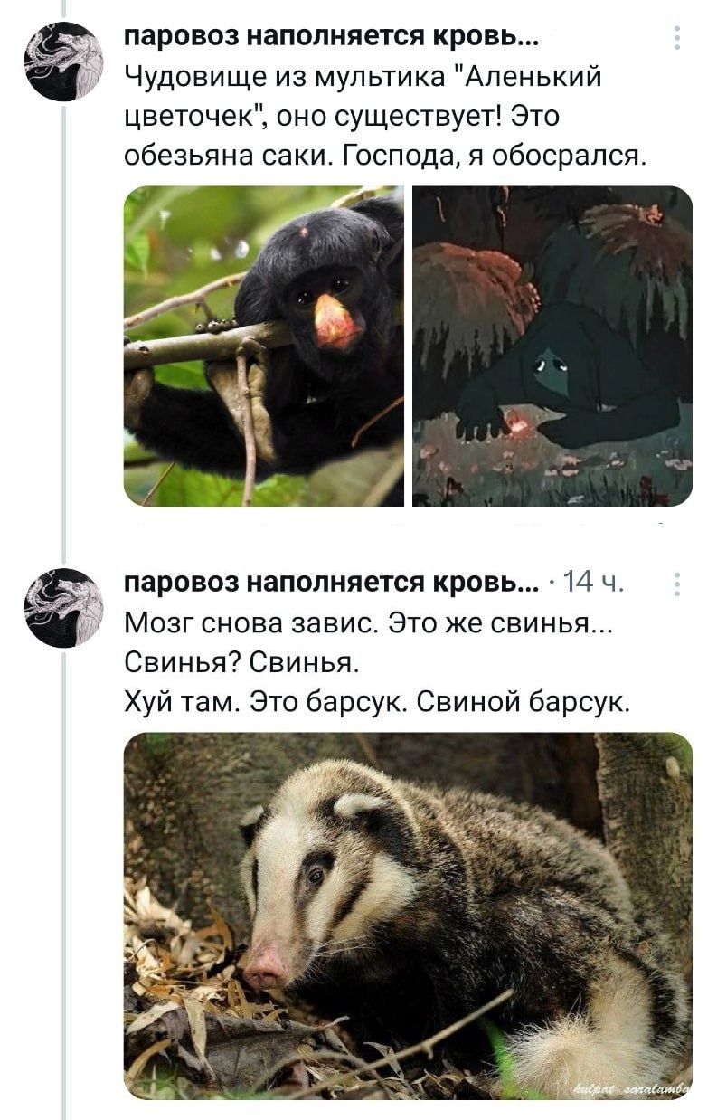 паровоз наполняется кровь Чудовище из мультика Аленький цветочек оно существует Это обезьяна саки Господа и обосрапся А паровоз наполняется кровь 14 ч Мозг снова завис Это же свинья Свинья7 Свинья Хуй там Это барсук Сеиной барсук