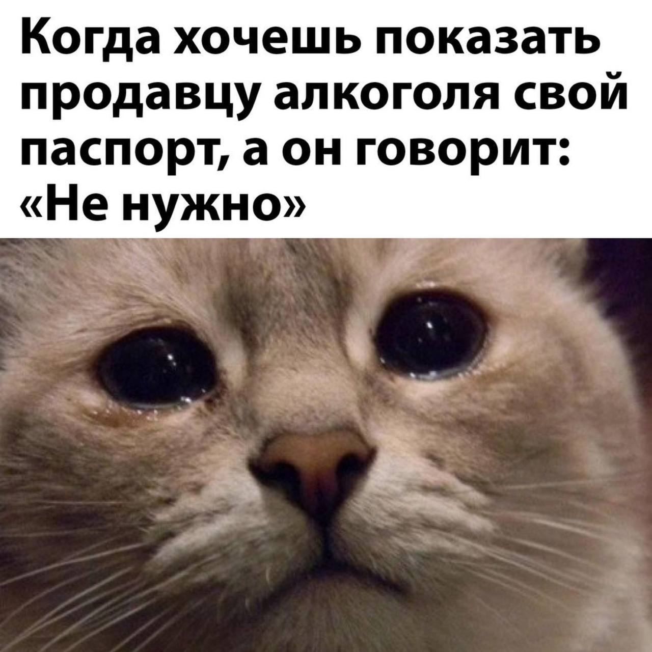 Когда хочешь показать продавцу апкоголя свой паспорт а он говорит Не нужно др