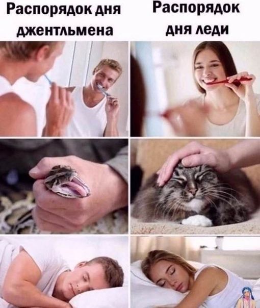 Распорядок дня Распорядок меитдьмена Аня леди А а 4 А А _