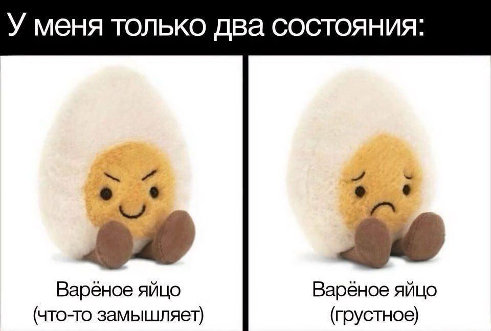 У МЕНЯ ТОЛЬКО два СОСТОЯНИЯ Баранов яйцо что то замышляет Баранов яйцо грустное