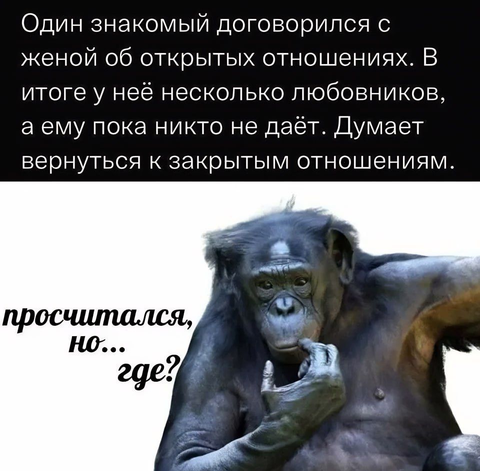 Один знакомый договорился с женой 06 открытых отношениях В итоге у неё несколько любовников а ему пока никто не даёт Думает вернуться к закрытым отношениям