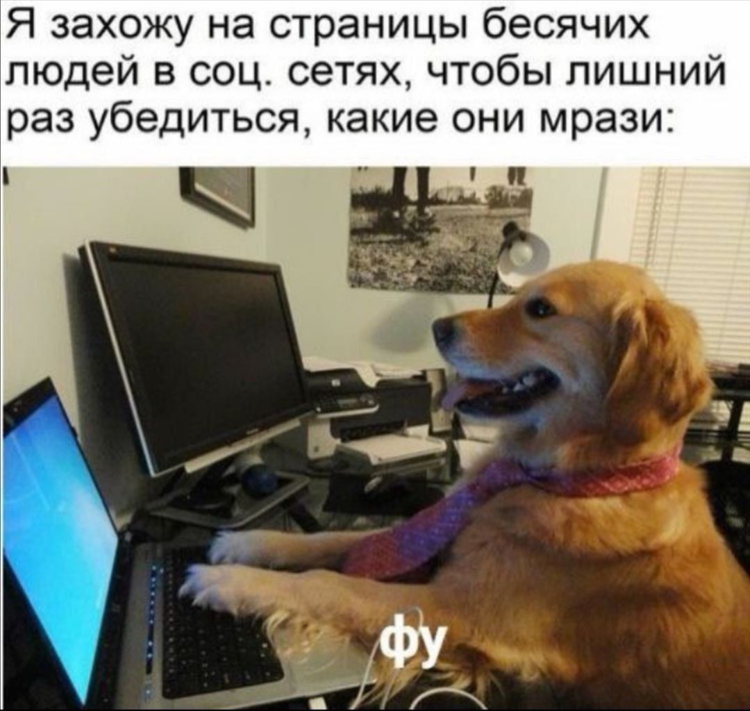 Я захожу на страницы бесячих людей в соц сетях чтобы лишний раз убедиться какие они мрази