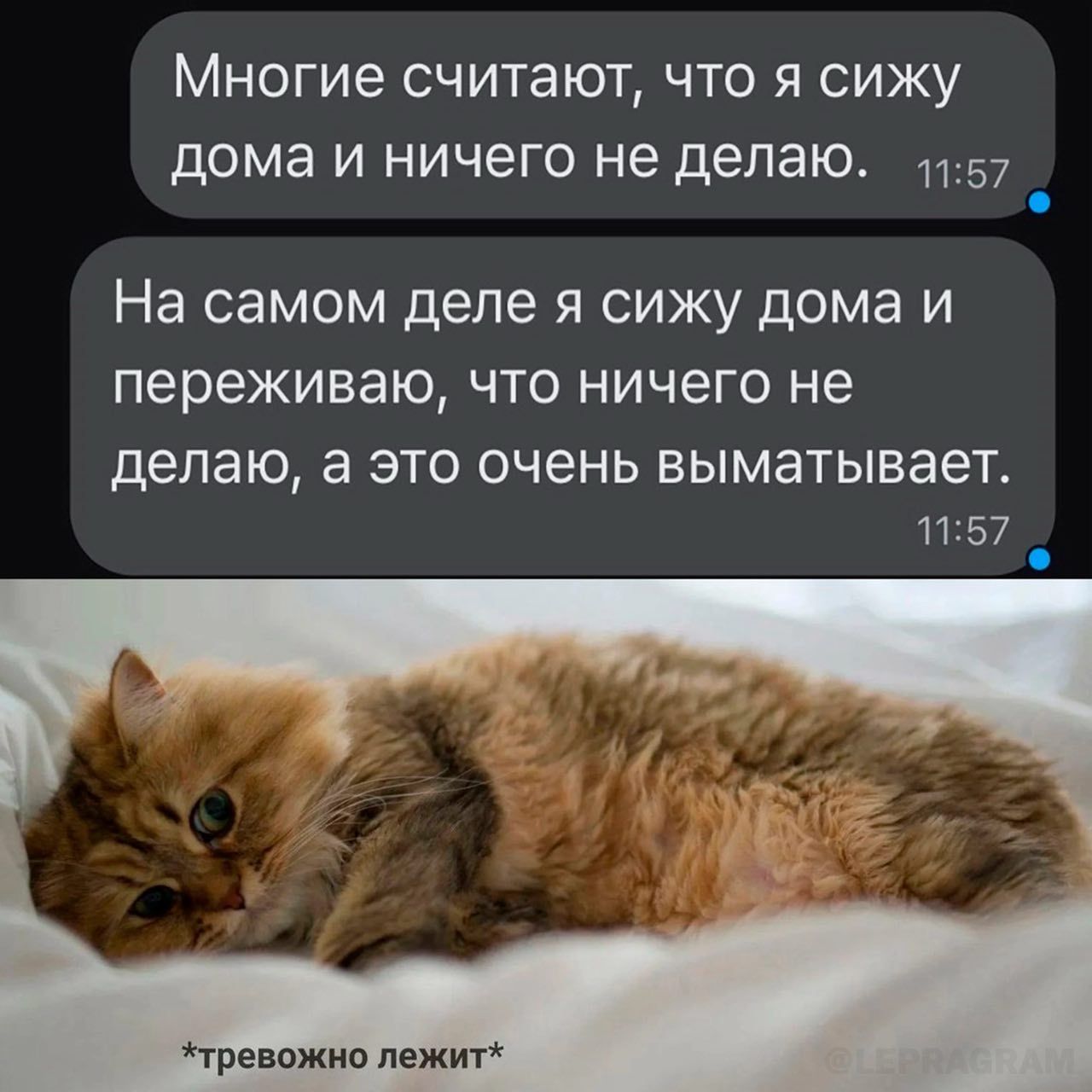 Многие считают ЧТО Я СИЖУ дома И ничего не делаю 1157 На самом деле Я СИЖУ дома И переживаю ЧТО НИЧЕГО не Делаю а ЭТО очень выметывает 1157 треижип лежит