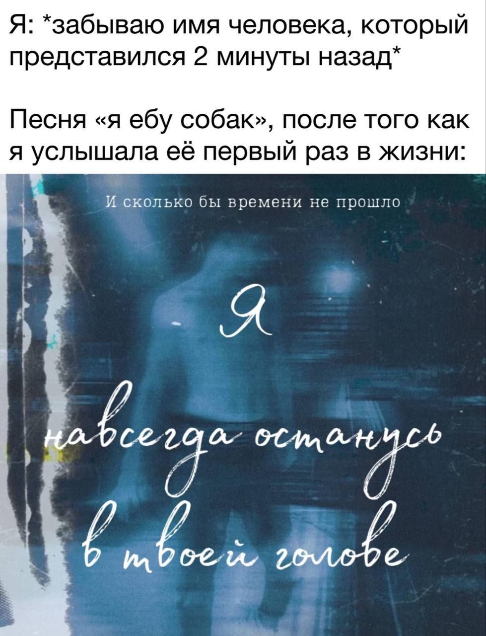 Я забываю имя человека который представился 2 минуты назад Песня я ебу собак после того как я услышала её первый раз в жизни и ск чрёмгну _ Я сеа ш дома 4