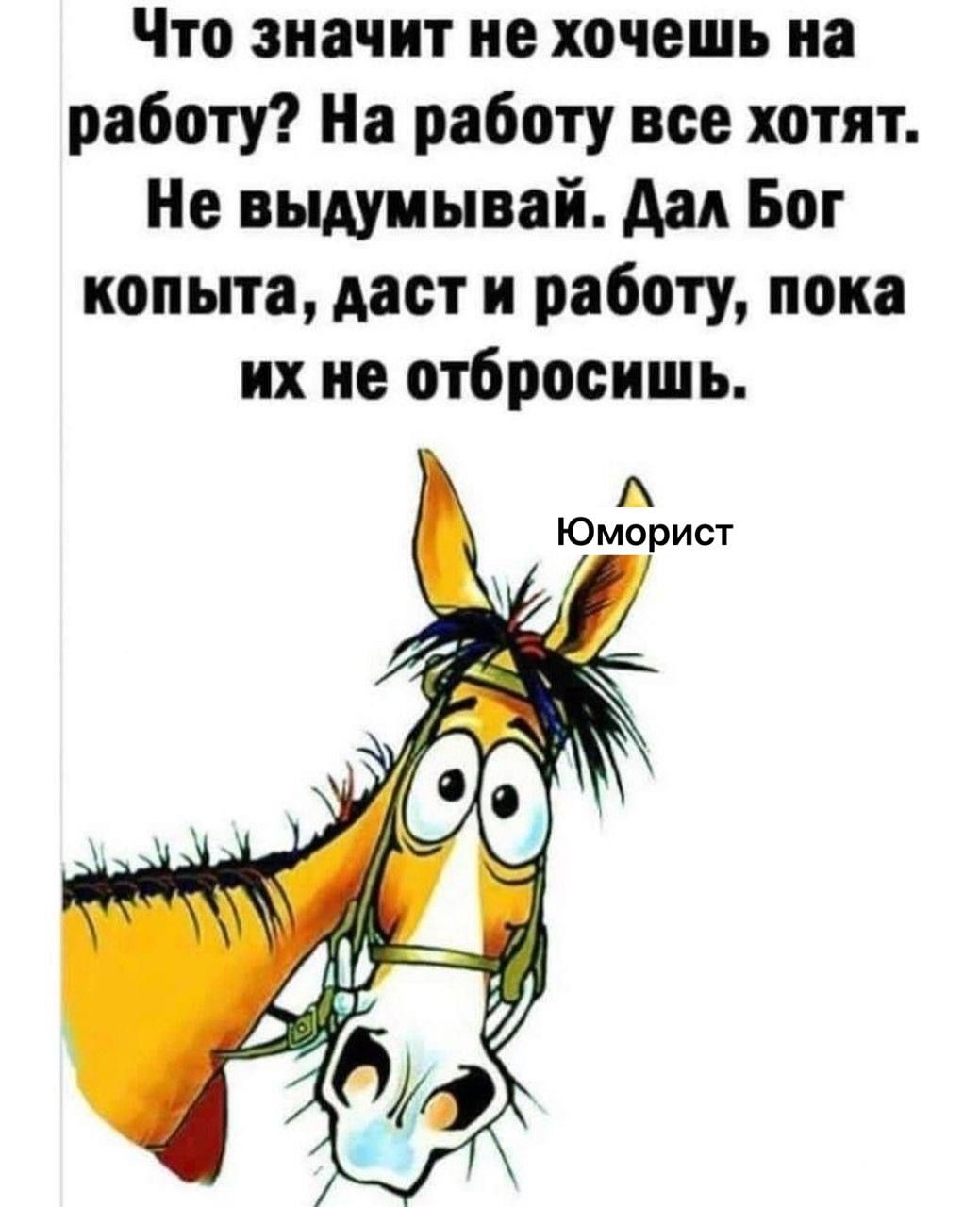 Что значит не хочешь на работу На работу все хотят Не выдуиыеай дал Бог копыта дает и работу пока их не отбросить