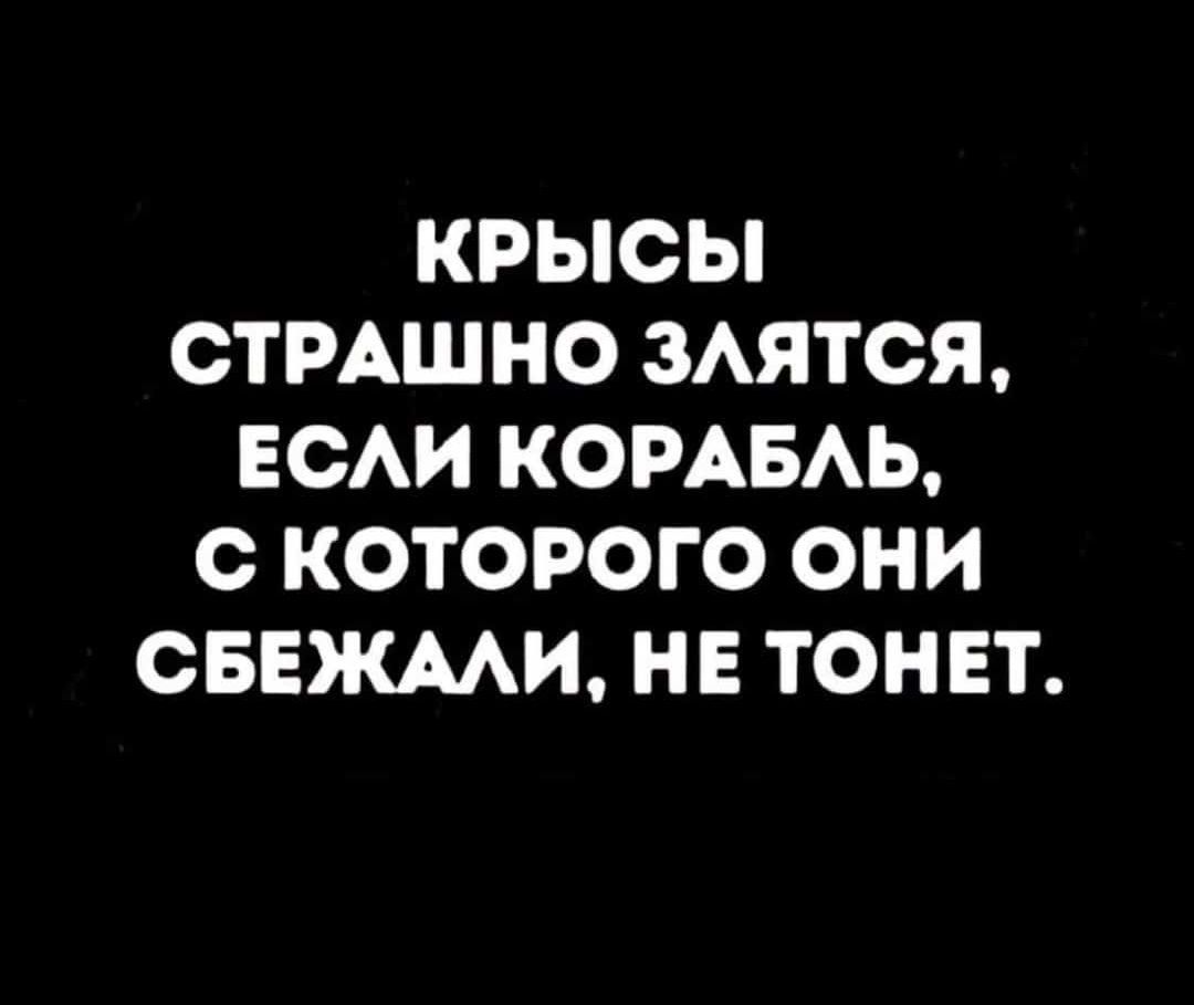 КРЫСЫ ОТРАШНО ЗАЯТСЯ ЕСАИ КОРАБАЬ С КОТОРОГО ОНИ СБЕЖААИ НЕ ТОНЕТ