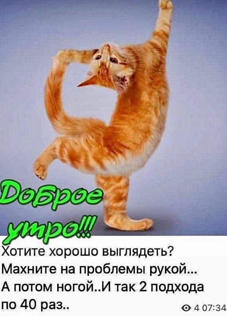 Хотите хорошо выглядеть Махните на проблемы рукой А потом ногойИ так 2 подхода по 40 раз о 4 0731