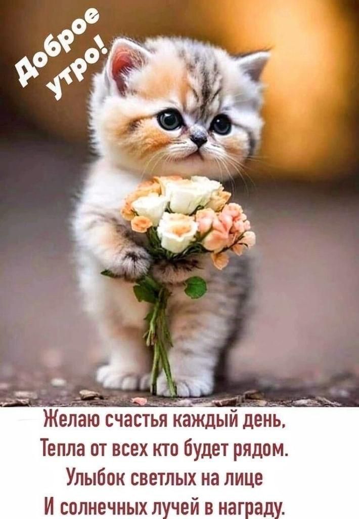 Жлаю счаст Тепла от всех кто будет рядпм Улыбпк светлых на лице И солнечных п чей в наг ад