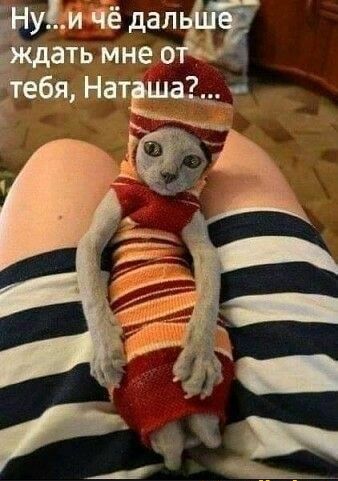 удм Чё дала ать мне о Нат