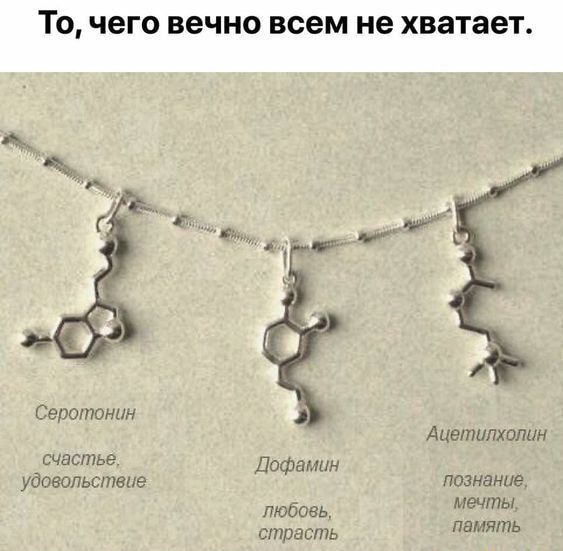 Сепопюннн счастье ДОФвмин уддеапьстние Любовь страсть диетлюпин познание мечты память