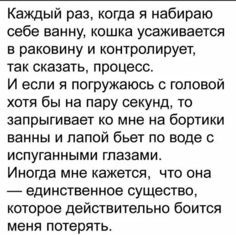 Каждый раз когда я набираю себе ванну кошка усаживается в раковину и контролирует так сказать процесс И если я погружаюсь с головой хотя бы на пару секунд то запрыгивает ко мне на бортики ванны и лапой бьет по воде с испуганными глазами Иногда мне кажется что она единственное существо которое действительно боится меня потерять