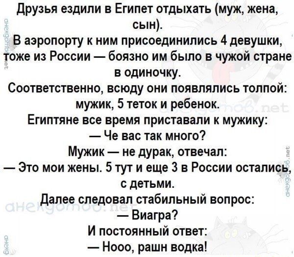 друзья ездили в Египет отдыхать муж жена сын В аэропорту ним присоединились 4 девушки тоже и России боязно им было в чужой стране в одиночку Соответственно всюду они появлялись толпой мужик 5 теток и ребенок Египтяне все время приставили мужику Че вас так много Мужик не дурак отвечал Это мои жены 5 тут и еще 3 в России остались с детьми далее следовал стабильный вопрос Виагра И постоянный ответ Но