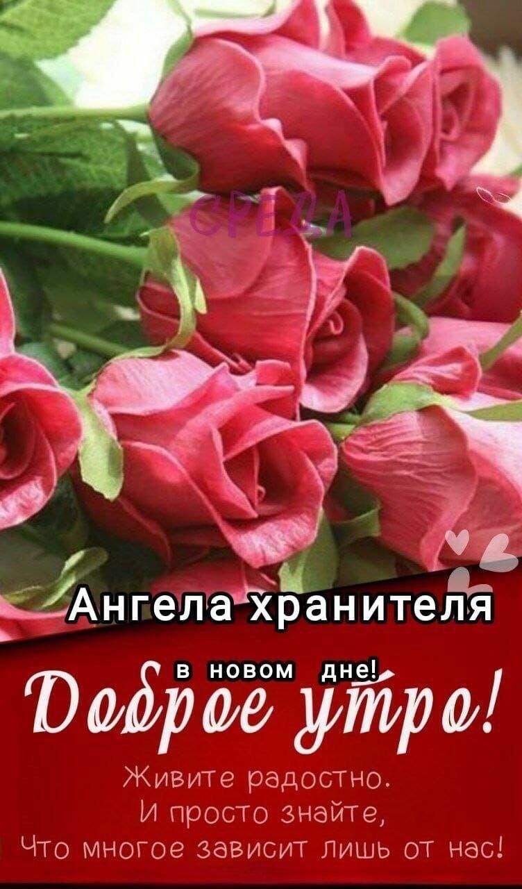 ьіАнгелаЗЁанитеЁя Фоброё утро Живите радостно И просто знайте Что многое зависит лишь от нас