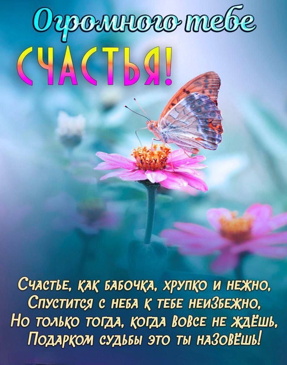 В СчастьЕ КАК БАБОЧКА ХРУПКО И НЕЖНО СпустиТсЯ НЕБА К ТЕБЕ НЕИЗБЕЖНО Но ТОльКО ТОГДА КОГДА ВОВСЕ НЕ ЖДЁШЬ Подарком суДЬБЫ ЭТО ТЫ НАЗОВЁШЬ
