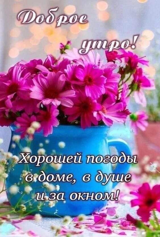 ЙоБо_шей поёёды Р 3 х т Зсгдоме сдуше о я МУа ОКНОЛИ и